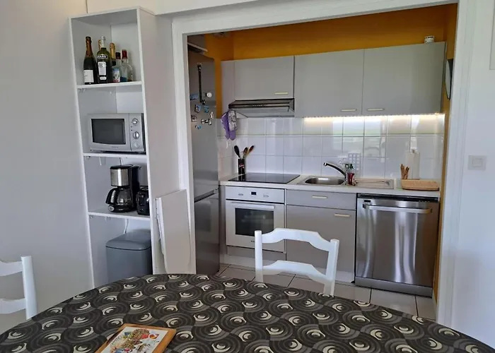 Duplex Face Avec Piscine, Quartier Golf, 2 Chambres, 2 Salles D'eau, Parking Prive - Fr-1-323-513